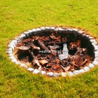 Galeria » Ogniska